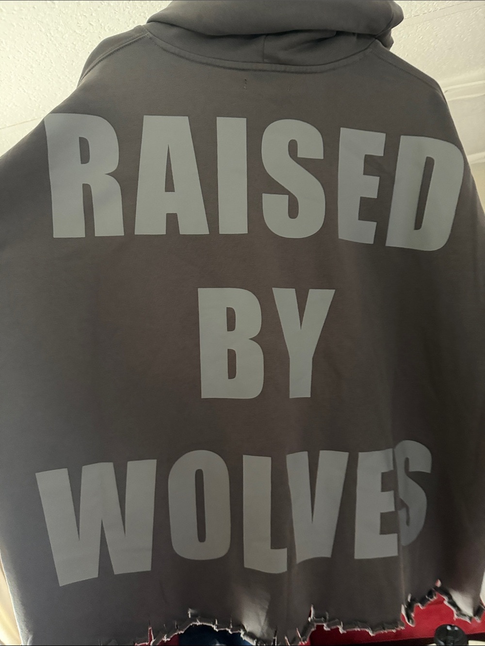 SILNT CHPTRS "Raised by Wolves" distressed hoodie (tagged as L but fits big)